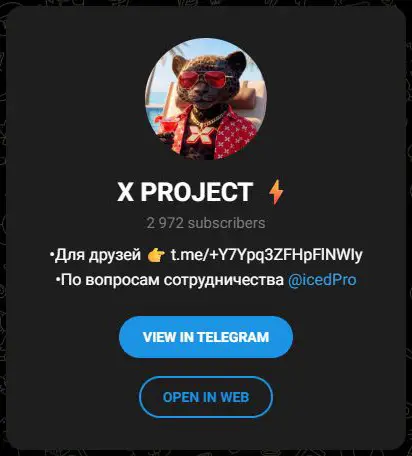 Карточка X PROJECT с контактом автора