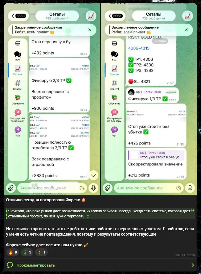 Подача отдельных успешных торговых результатов CRYPTOART