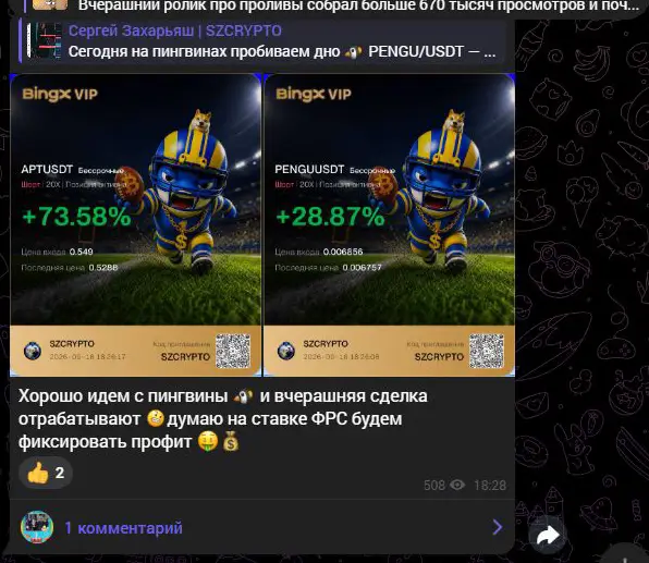 Промежуточный отчёт о прибыли по PENGU