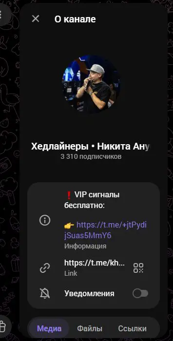 Профиль канала Хедлайнеры Никиты Ануфриева