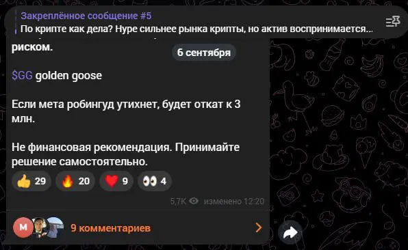 Предупреждение о риске Golden Goose