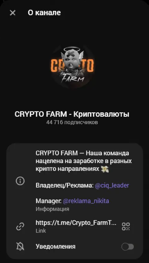 Как устроена публичная витрина проекта